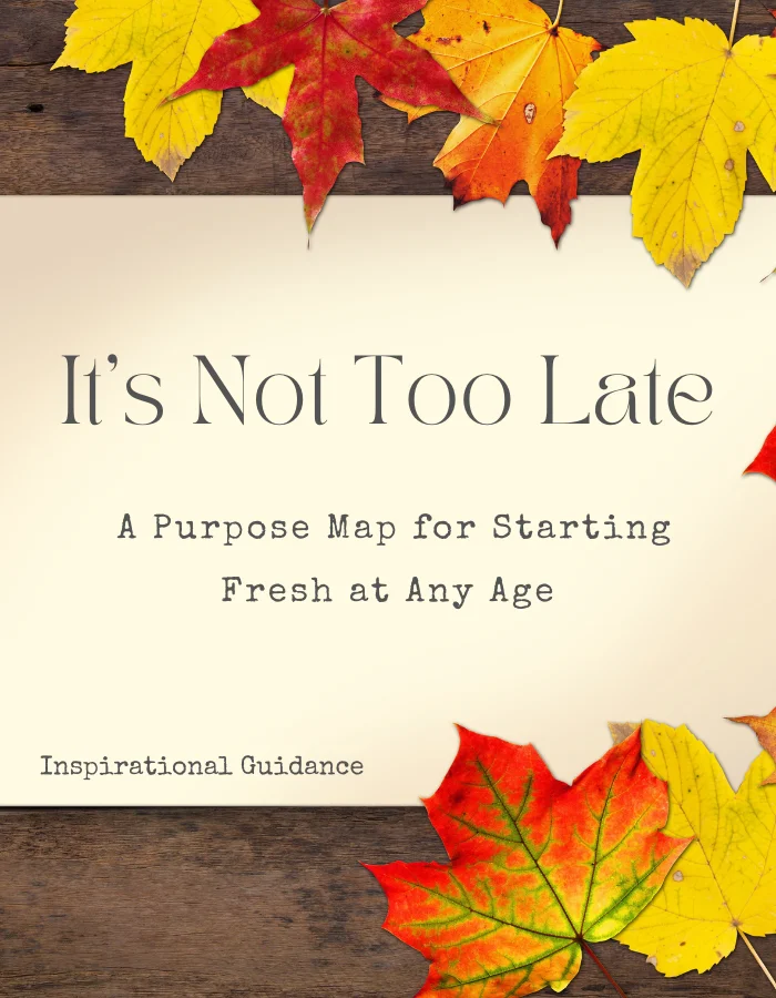 Cover design of It’s Not Too Late AND Feel Again Bundle